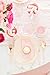 Sugar & Cloth Pale Pink Plastic Champagne Coupe Set, 4-Piece
