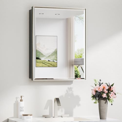 Image of TokeShimi 20 x 26 in Brushed Nickel Medicine Cabinet with Mirror, DTC Hinge
