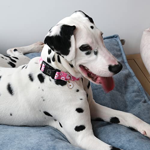 Mr. Chubbyface Flower Daisy Dog Collar Spring Floral Soft Adjustable Pet Boy Girl Collar For Small Medium Large Dogs #TOP5