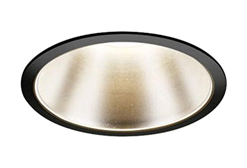 �R�C�Y�~�Ɩ� �_�E�����C�g M�`�_�E�����C�g ���M��60W���� ON-OFF�^�C�v ���˔t�� �d���F �u���b�N AD43391L