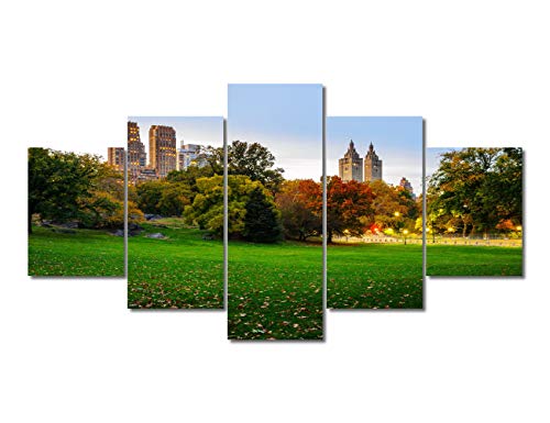 TUMOVO 5 Piece Canvas Wall Art Prints Red Leave, Trees Lawn in Central Park New York Picture Fall Landscape Modern Canvas Painting for Home Decoration Framed Gallery Stretched Ready to Hang