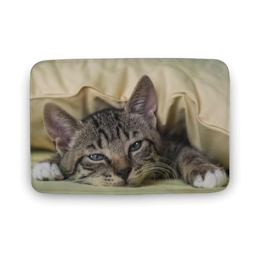 L   oX}bg \tg􂦂 z  փ}bg  O    ~ Aj LN^[ @}bg   ʏ