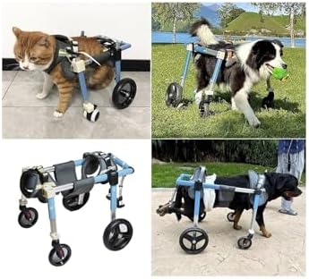 Pet Wheelchair for Dogs - 4 Wheels Mobility Aid, XS-XXL Sizes, Full Support for Disabled & Injured Pets, Adjustable Dog Leg Braces for Enhanced Mobility