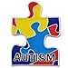 Autism Puzzle Pin