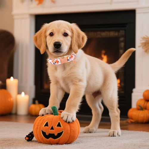Image of Halloween Dog Collar with Metal Buckle Gift Pumpkin Dog Collar for Small Medium Large Girls or Boys Dogs Cute Durable Comfortable Pet Collars