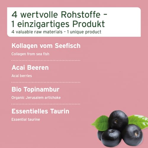 Taurin für Katzen Aniforte 4in1 Complete Cat 60g – Nährstoffversorgung