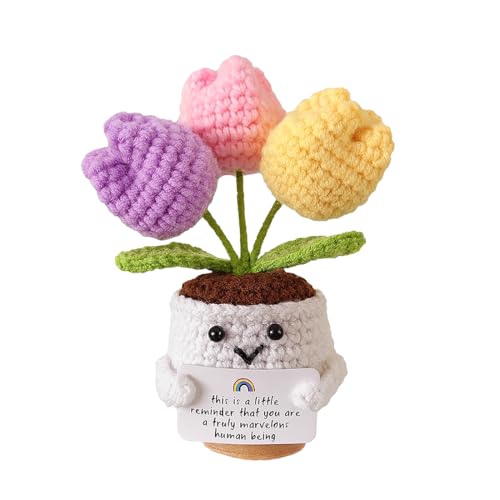 KEWUF Tulipa de Abraço de Bolso, Série de Batatas Positivas, Amuleto da Sorte de Crochê, Presentes para uma Rápida Recuperação, Certificados de Exame, Presentes de Aniversário, Amigos