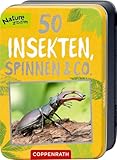 50 Insekten, Spinnen & Co. (Nature Zoom) - Holger Haag Manfred Rohrbeck 