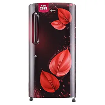 LG 205 L 4 Star Inverter Direct-Cool Single Door Refrigerator (GL-B221ASVY, Scarlet Victoria, Moist 'N' Fresh)