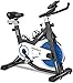 LABGREY Cyclette Spinning Professionale, Spin Bike Cyclette da Camera con Schermo LCD e Portabicchieri, Volano 15kg, Cyclette per Fitness ed Esercizio a Casa