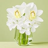 【Meilleur Décor pour la Maison】Cette fleur artificielle ultra-réaliste avec eau fausse dans un vase est parfaite pour la décoration de la maison ou du bureau, ajoutant une touche d'amour et de vie à tout espace. Idéale pour les salons, les tables à manger, les rebords de fenêtre, les bureaux, les mariages, et plus encore. Elle constitue également un merveilleux cadeau.
