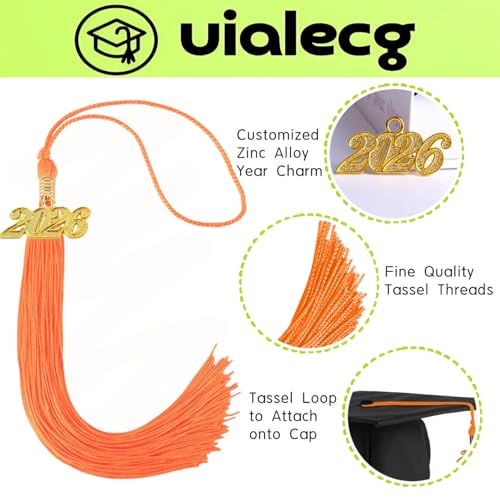 Image of Graduation Tassel 2026 for Grad Cap,Orange Tassel with Gold Charm