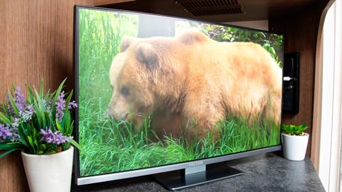 Falcon WebOS SMART Camping TV – Multituner DVB-S2 & DVBT2, 12V/24V/240V Integrierter DVD-Player, Bluetooth 5.0, Sprachsteuerung, Appsteuerung, Streaming, 3 x HDMI, 2 x USB, Netflix UVM. (27 Zoll) – Bild 7