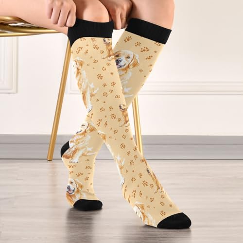Image of Pigsaly Womens Compression Socks Yellow Stars Funny Brown Capybara Knee High Socks Athletic Tube Sock Outdoor Sport Socks