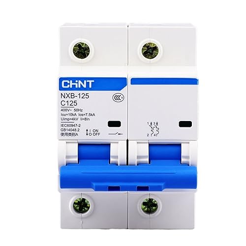 Disjoncteur miniature MCB de haute précision NXB-125 2P 125A pour installations durables