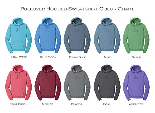 Phi Kappa Psi Vintage Color Pullover Hooded Sweatshirt2