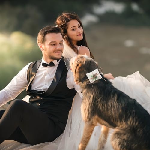 DELORIGIN Ringträger Hund Eheringkissen Für Hundehalsband Aufbewahrung von Paarringen Für Verlobung Heiratsantrag Haustierzubehör Für Kleine Hunde Zeremonie Party