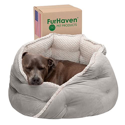 Top 10 Best Cave Bed For Dogs Reviews & Buying Guide Katynel