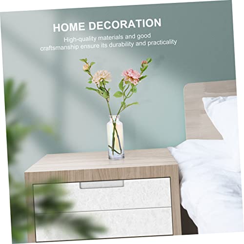 Jarrón de cristal para hidroponía Hemobllo, el obsequio ideal de decoración 5