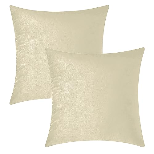 Image of HOKIPO Velvet Cushion Cover 22 Inch x 22 Inch, Cream, Pack of 2 (IN-579-CRM-22IN*2)