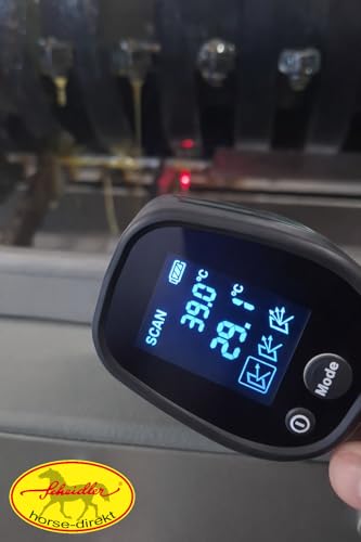 Scheidler horse-direkt Leinöl für Pferde, Hunde & Katzen 1 Liter – Mühlenfrisch kaltgepresstes Leinsamenöl ohne Zusätze – Reich an Omega 3 & 6 für Fellwechsel/Barf Öl – Aus Deutschland