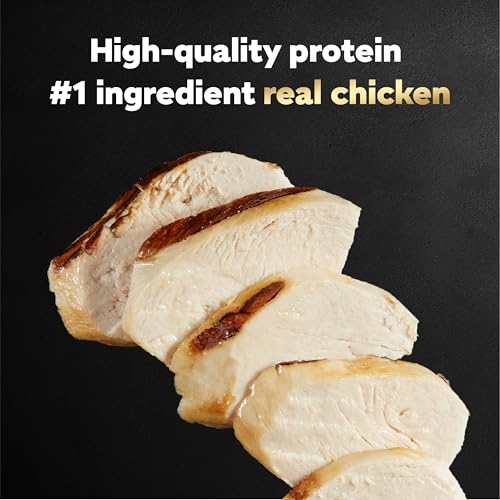 Image of Cesar Filets in Gravy Wet Dog Food Wood-Grilled Chicken, Wet Food for Dogs, 1.76 oz. Mini-Pouches, 20 Count