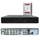 DVR 1080P Lite 8 Canali 1080N Videoregistratore Network Digital Video Recorder H.264 HDMI Email Allarme con Telecamera IP/AHD/TVI/CVI/Analogica Motion Detection(Hard disk 1TB)