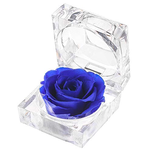 Forever Rose in Acrylic Crystal Ring Box Handmade Real Preserved Fresh Flower Best Romantic Gift for her Valentine's Day Mother's Christmas Anniversary Unique Surprise Mom Wife NOT Silk (Blue)