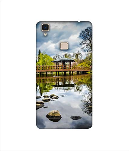 Image of Amazon Brand - Solimo Designer Pebbles 3D Printed Hard Back Case Mobile Cover for Vivo V3 Max