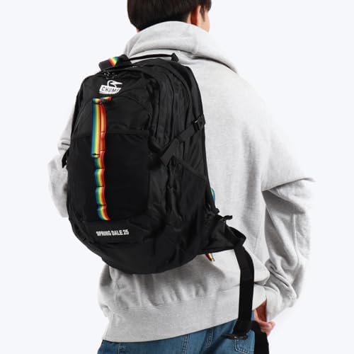美品　チャムス　大容量　リュック DALE25　バックパック　レインボー CHUMS チャムス Spring Dale 25 25L Black Rainbow CH60-3548
