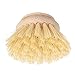 REDECKER Tampico Fiber Replacement Head Made with Untreated Beechwood, 2-Inches - Natural Dish Brush Replacement Head - Redecker Dish Brush Replacement Head - Wood Dish Brush