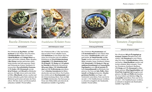Pesto, Salsa & Co. selbst gemacht: Einfache Rezepte für Würz- und Grillsaucen - 10