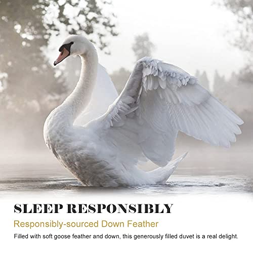 Topgreen Organic Goose Feather Down Comforter Twin Size - All Season Duvet Insert Organic Cotton, Medium Warm Quilted Bed Comforter 42Oz Fill Weight With Corner Tabs (68X90, White) #TOP3