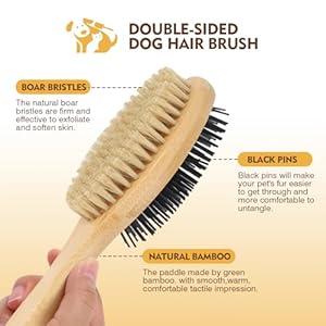 Doggroomingbrushkitdesheddingdogbrushforsheddingshorthairdogswithpetnailclipperandfiletwosidedpetbrushesfordogsremovingdirtloosehair7pcsblack Urban Country Home Decor Dog grooming brush kitdeshedding dog brush for shedding short hair dogs with pet nail clipper and file two sided pet brushes for dogs removing dirt loose hair7pcs black urban country home decor
