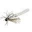 bottom gori