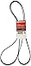 Motorcraft Drive Belt