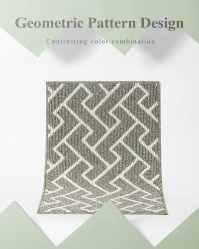 Biscpro Schmutzfangmatte 80 x 100, Rutschfestigkeit Fußmatte,Maschine gewaschen Türmatte für Hund, Außen Innen Garten,Teppich,küchenteppich,Haustür