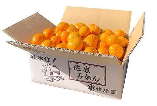 佐康園 和歌山県天田の頑固みかん 5kg(優〜良混合)Lサイズ
