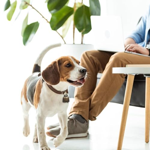 LIBAIDZ 2pcs Kuhglocke,Glöckchen zum Basteln,Metall Vintage Glöckchen,Tracker Glocken,Weihnachts Glocken,Glocken für Trainieren Haustier Halsband Anhänger,DIY Wind Glockenspiel,Ziegenglocke,Bronze