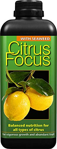 3 X Citrus Focus Balanced Concentrated Liquid Fertiliser 1 Litre