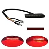 LENJIEMT Motorcycle Tail Light Strip mini Brake light Red Running license Plate Light 12V With Bobber Chopper ATV Dirt Bike