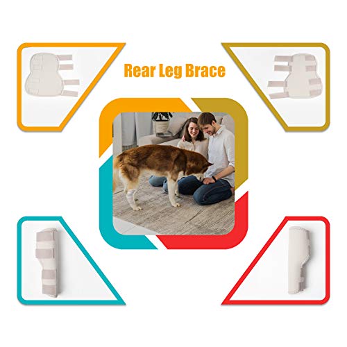 Image of Lepark Rear Dog Leg Brace One Pair Heals Hock Joint Wrap Sleeve for Hind Legs(XL /Grey)