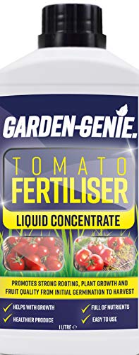British Basics Help Your Tomatoes Thrive & Grow
