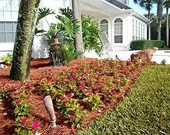 Miniatura 3 de Mantillo de paja de pino de hoja larga premium (200 pies cuadrados)