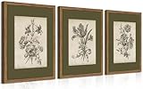 Vintage Floral Wall Art Set of 3, Sketch Sage Green Botanical Canvas Wall Decor...
