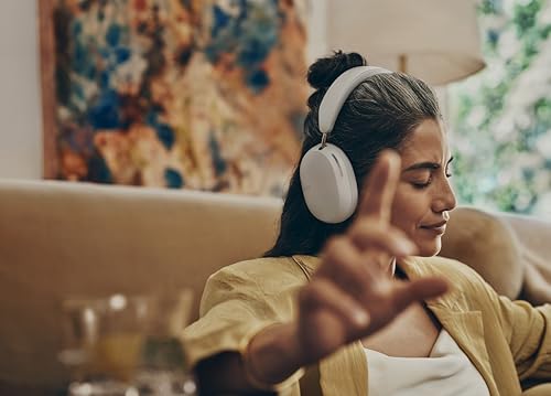 Sonos Sonos Ace の商品画像 2