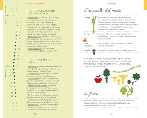 Il Barbanera. Almanacco 2026 - 11