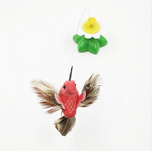 hovering bird cat toy