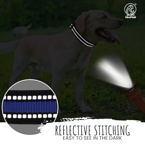 Image of PawPro Reflective Nylon Dog Collar - Custom Bone Tag with 5‑Foot Heavy‑Duty Leash - Soft Padded Handle, 360 Swivel Clip - Adjustable Pet Collar for Medium & Large Dogs (Frosted Blue, Collar+Leash)