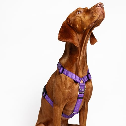 PETFORTA No Pull Y-Shape Dog Harness Neck Buckle,